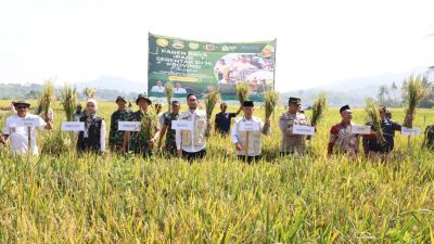 Bandung Barat Dukung Swasembada Pangan Lewat Panen Raya Serentak